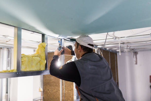 Best Spray Foam Insulation in Arbury Hls, IL