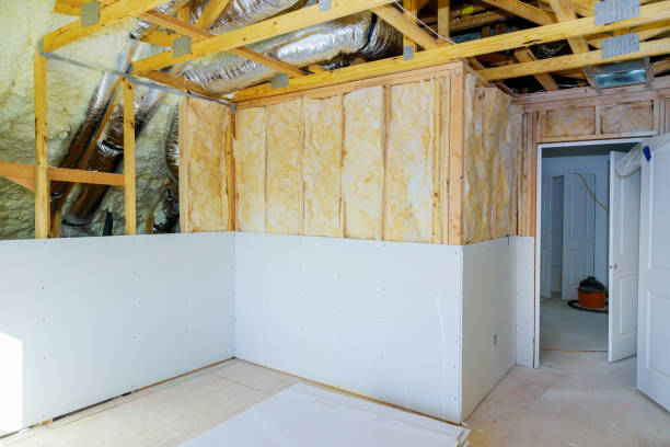 Best Insulation Maintenance and Repair in Arbury Hls, IL