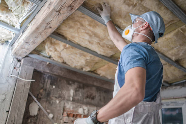 Best Geographic-Specific Insulation Services in Arbury Hls, IL