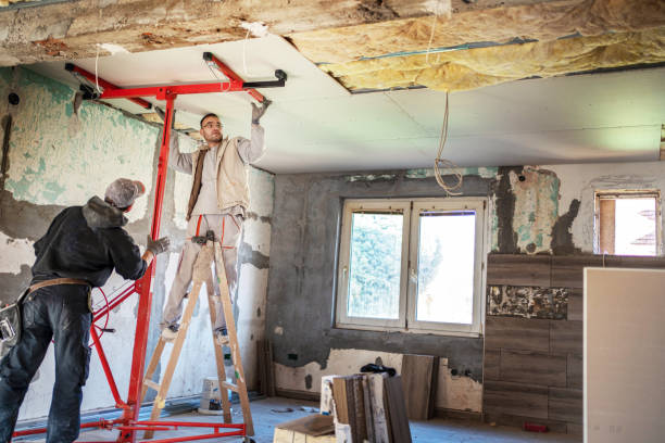 Best Spray Foam Insulation in Arbury Hls, IL