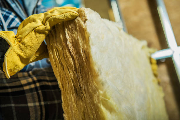 Best Energy Efficiency Insulation in Arbury Hls, IL