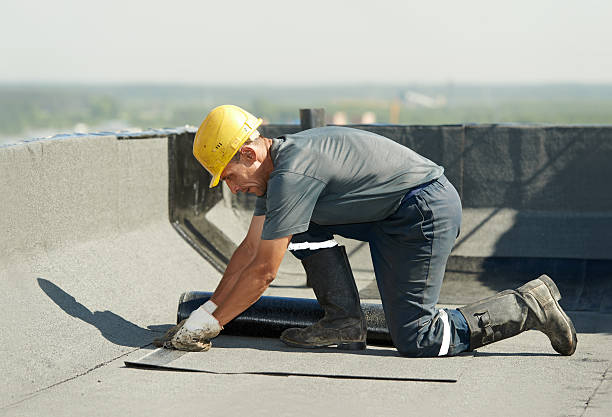 Best Eco-Friendly Insulation in Arbury Hls, IL