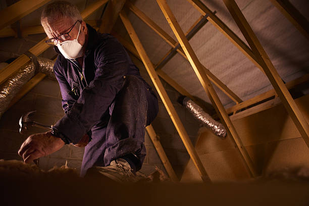 Best DIY Insulation Kits and Guidance in Arbury Hls, IL