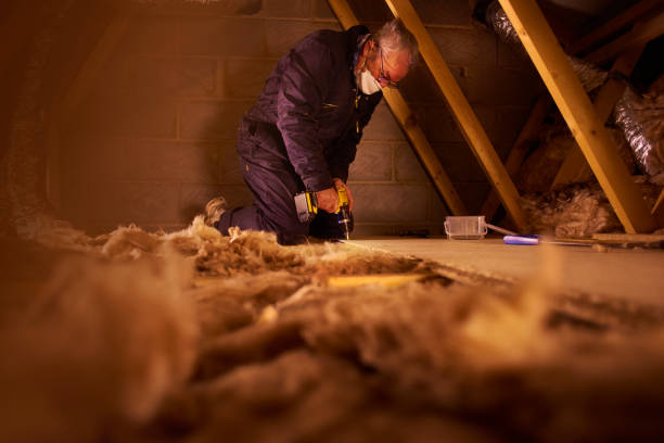 Best Cellulose Insulation in Arbury Hls, IL