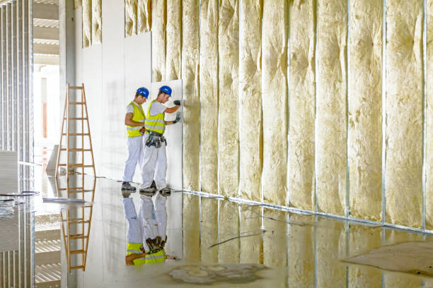 Best Cellulose Insulation in Arbury Hls, IL